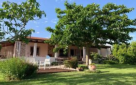 Countryside Villa In Sardinia